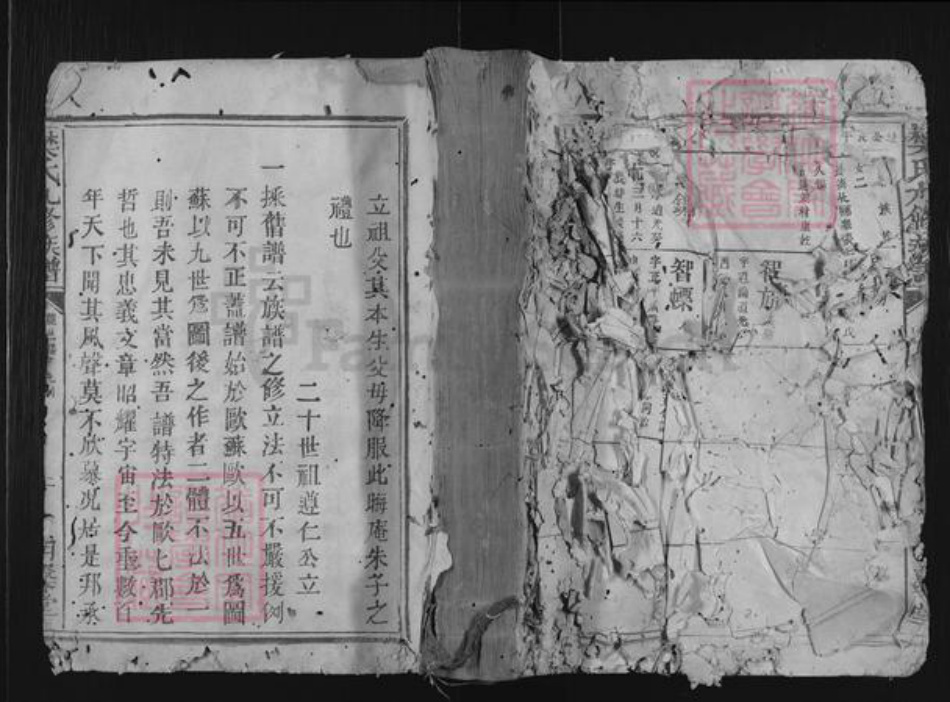 江西省吉安市永新县禾川樊氏明韾堂族谱-樊氏九修族谱.pdf电子版插图
