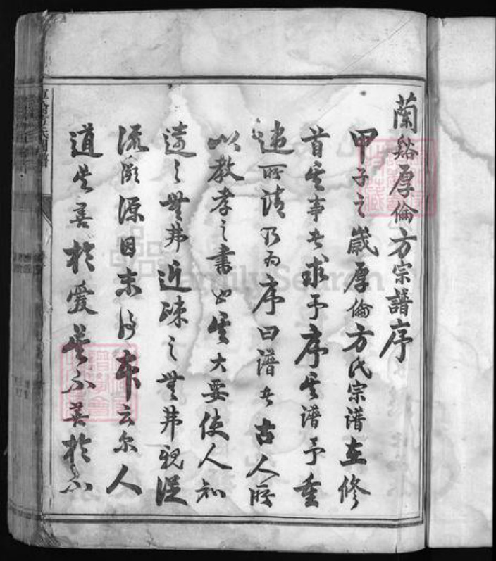 浙江省金华市方氏族谱-厚伦方氏宗谱 [不分卷].pdf电子版插图3