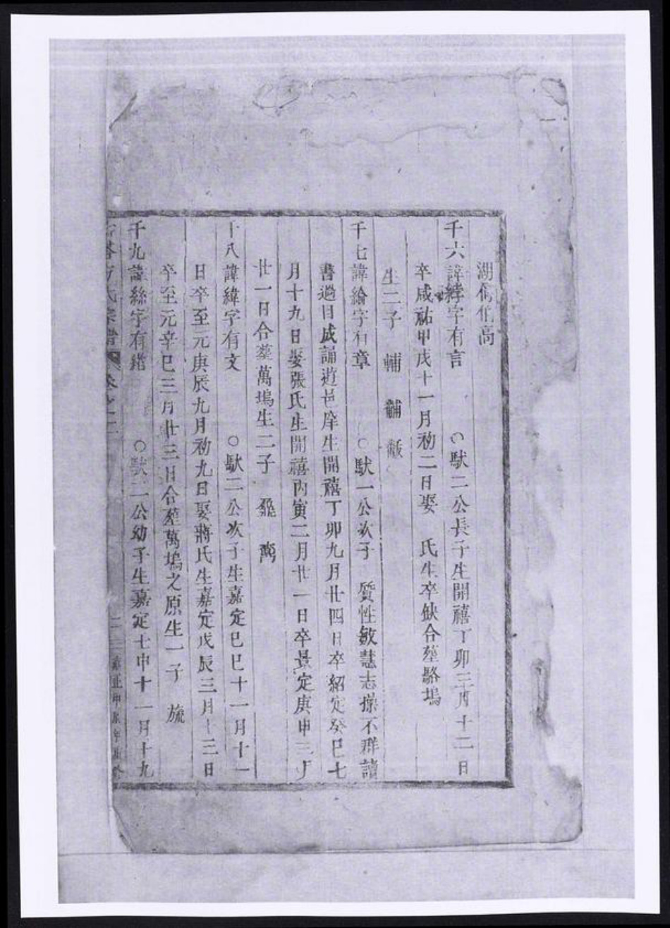 浙江省金华市东阳市东阳方氏族谱-寿塔方氏宗谱.pdf电子版插图1