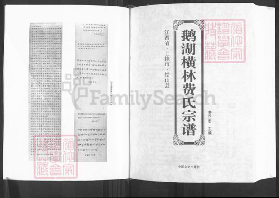 江西省上饶市铅山县汪二镇费氏族谱-鹅湖横林费氏宗谱.pdf电子版插图5
