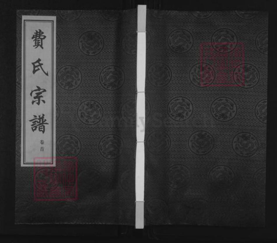 江苏省常州市武进县横林镇费氏尚志堂族谱-费氏宗谱.pdf电子版插图