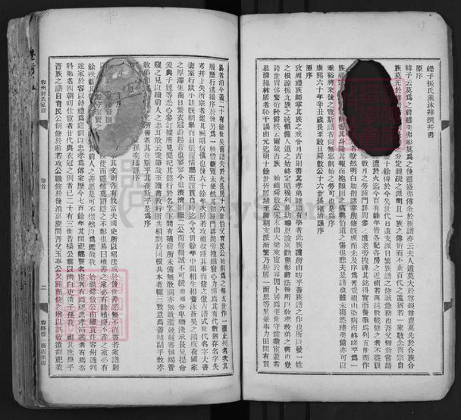 广西壮族自治区玉林容县封氏华鼎堂族谱-容州封氏家谱.pdf电子版插图3