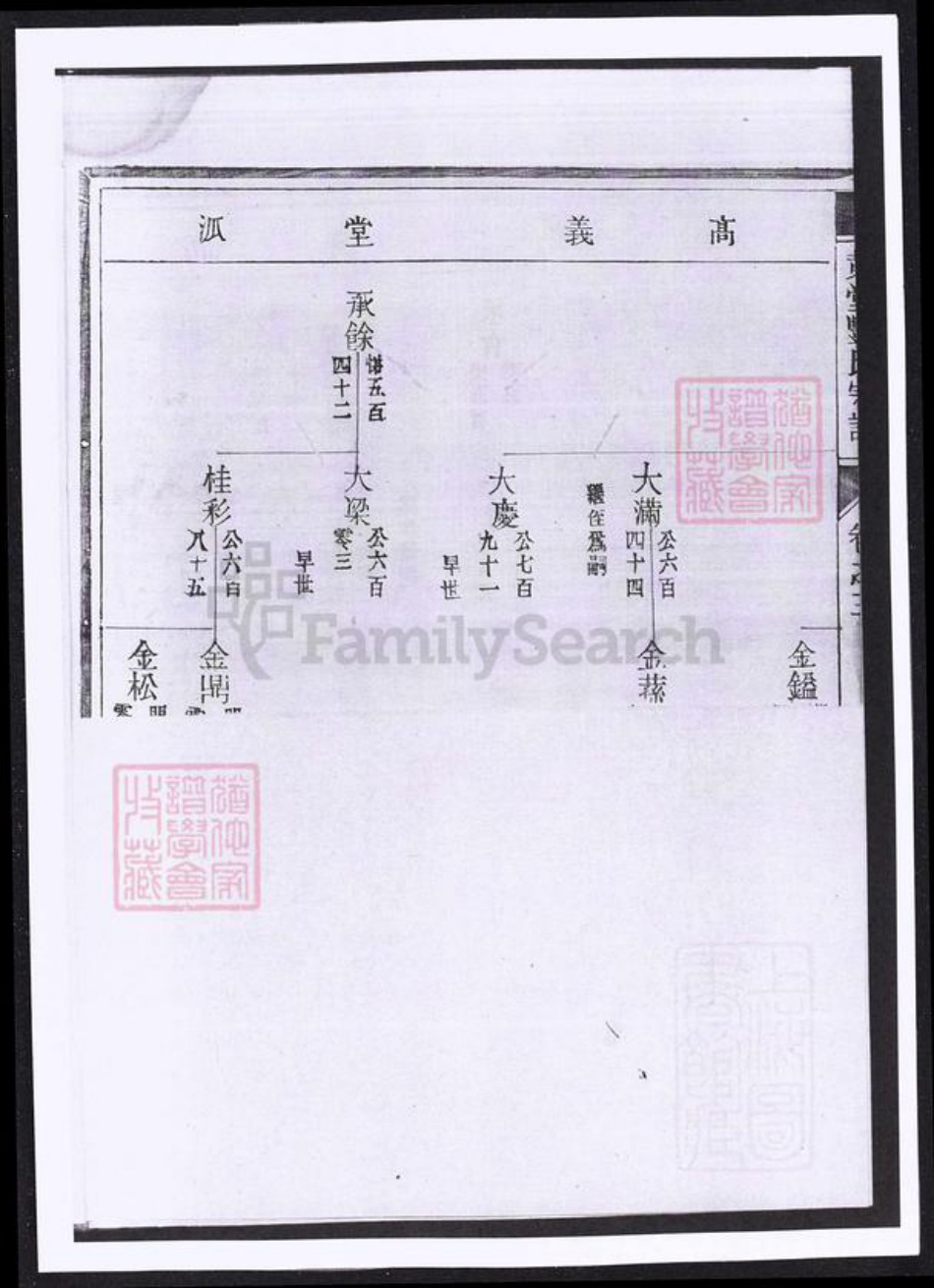 浙江省金华市婺城区汤溪镇丰氏族谱-黄堂丰氏宗谱.pdf电子版插图3