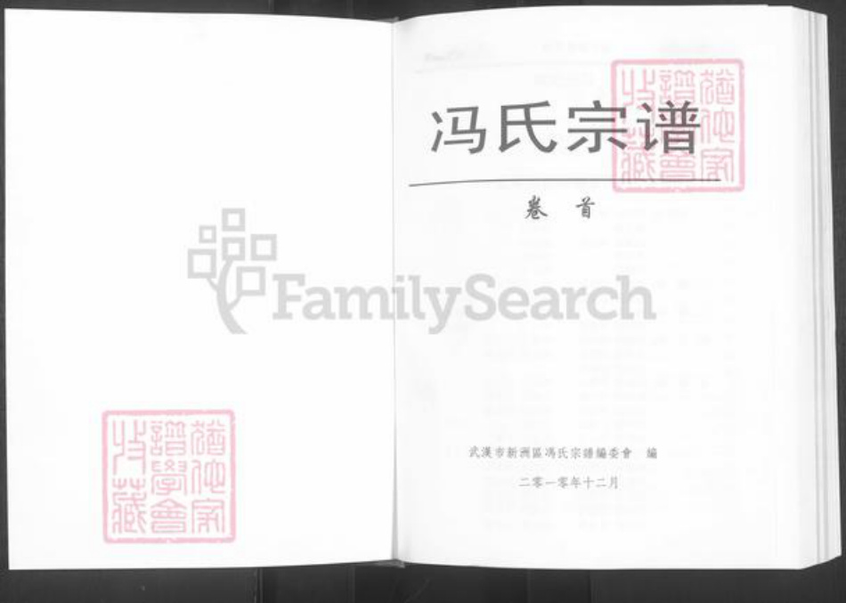 湖北省武汉市新洲区冯氏族谱-冯氏宗谱.pdf电子版插图1