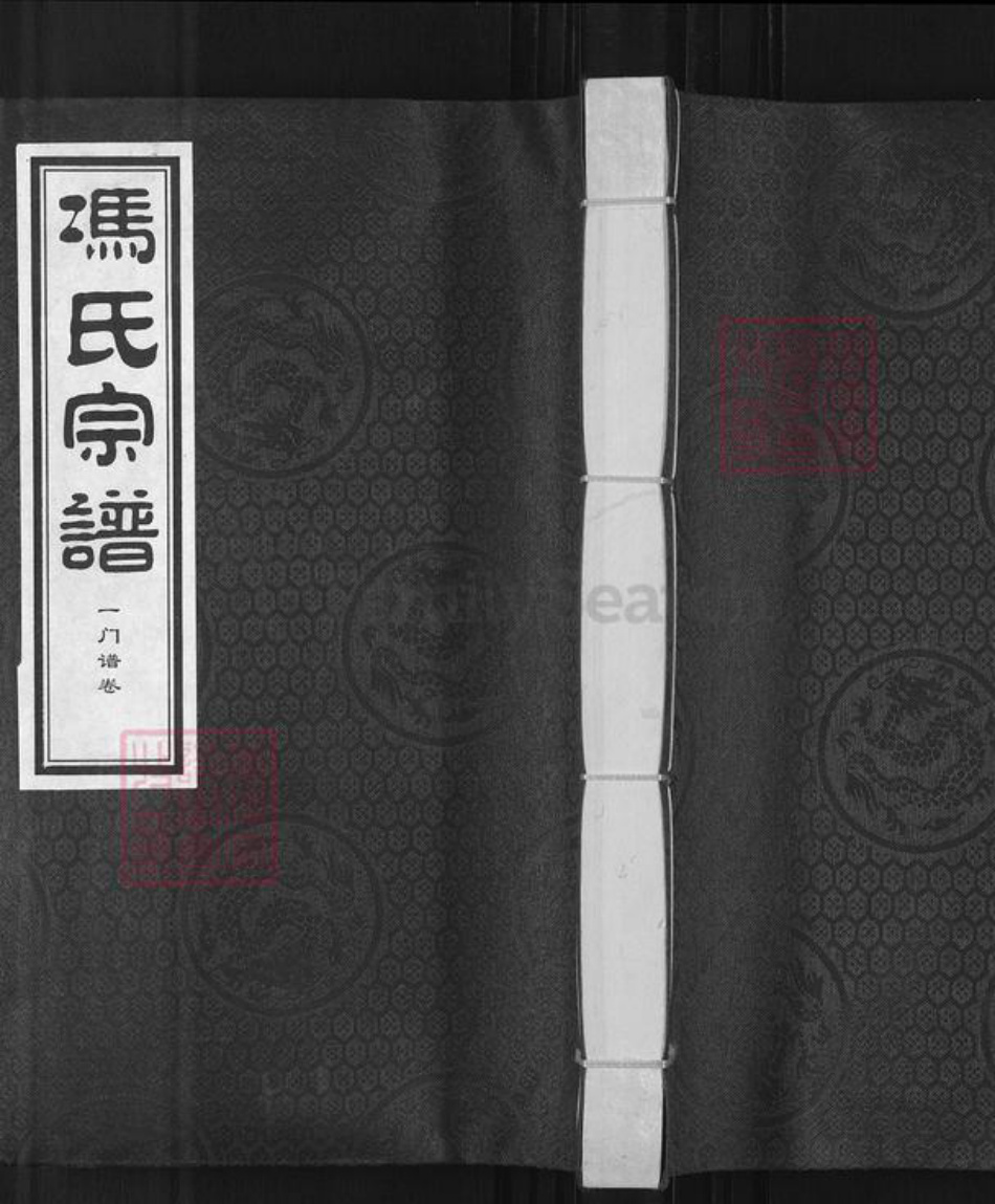 河北省沧州盐山县冯氏族谱-冯氏宗谱.pdf电子版插图