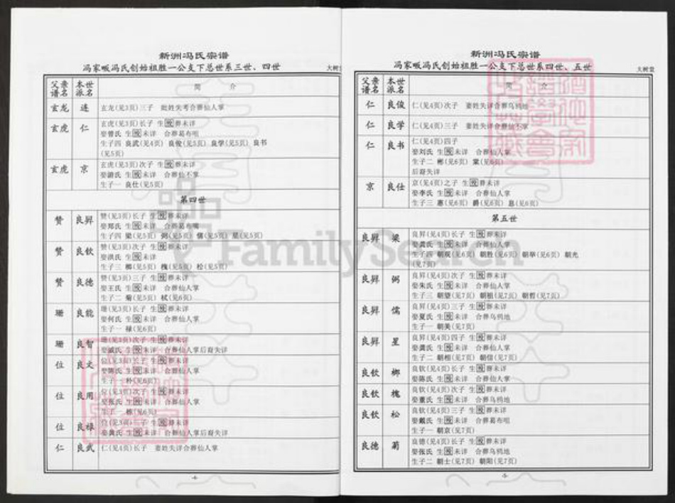 湖北省武汉市新洲区冯氏大树堂族谱-新洲冯氏宗谱.pdf电子版插图5