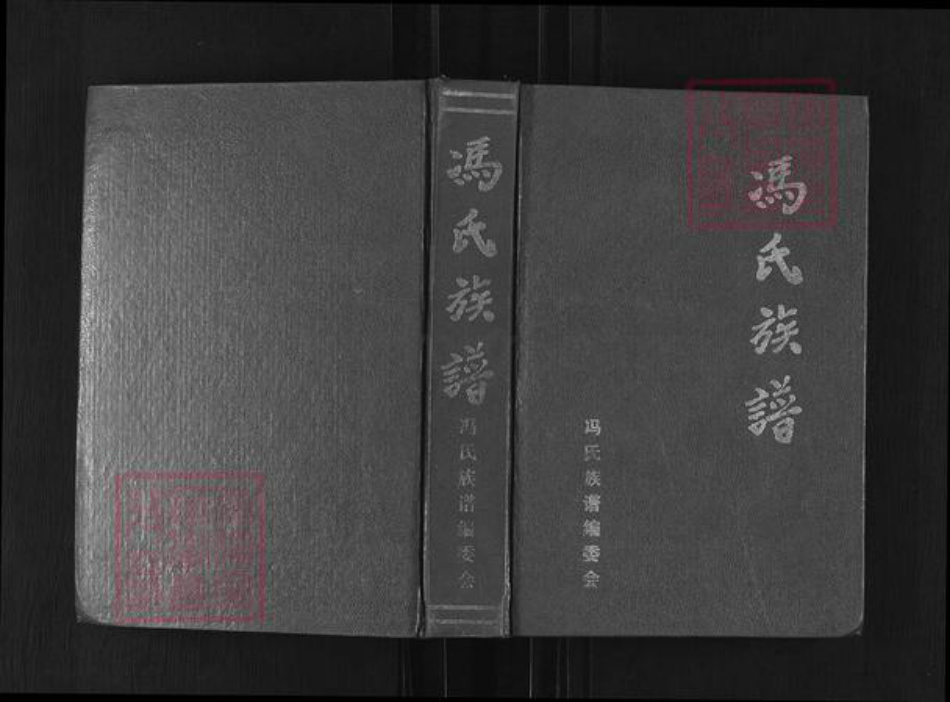 四川省广安市邻水县冯氏族谱-冯氏族谱.pdf电子版插图