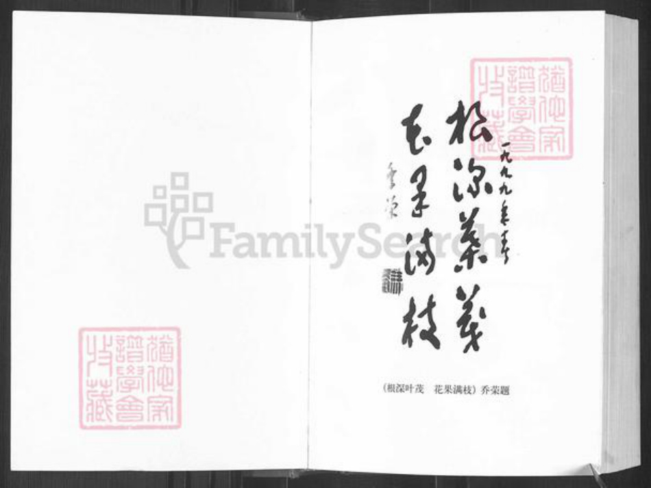 四川省广安市邻水县冯氏族谱-冯氏族谱.pdf电子版插图2