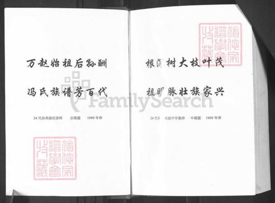 四川省广安市邻水县冯氏族谱-冯氏族谱.pdf电子版插图3