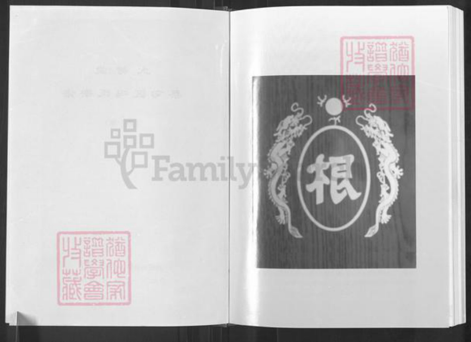 湖北省武汉市蔡甸区冯氏大树堂族谱-蔡甸冯氏宗谱.pdf电子版插图3