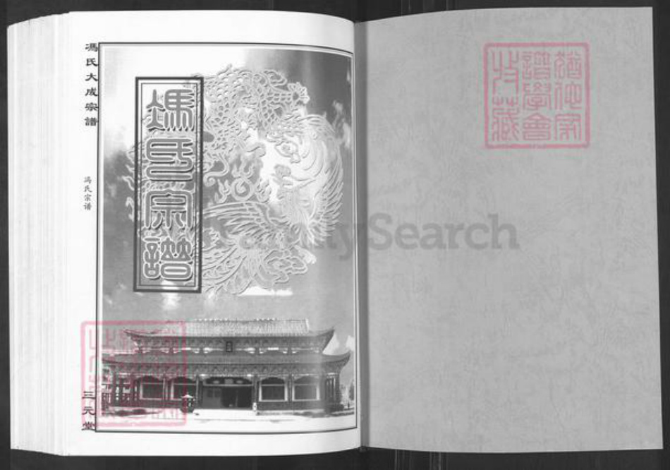 湖北省黄石市大冶市保安镇冯氏三元堂族谱-冯氏大成宗谱.pdf电子版插图1