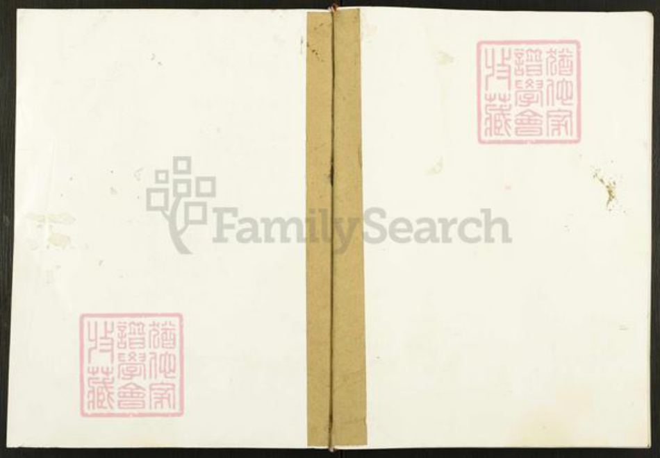 重庆市垫江县冯氏大树堂族谱-垫江县冯氏撰谱.pdf电子版插图