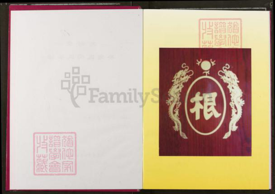 湖北省武汉市蔡甸区冯氏大树堂族谱-蔡甸区冯氏宗谱.pdf电子版插图2