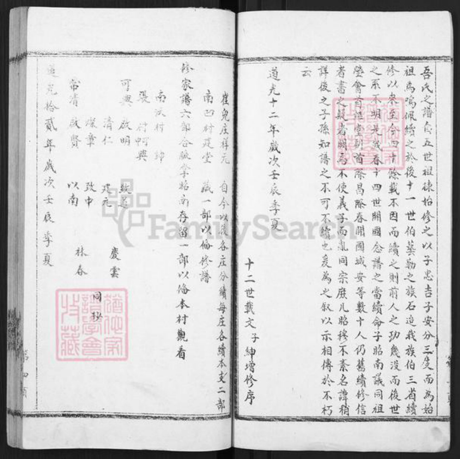 河南省安阳市林州市五龙镇冯氏族谱-隆虑冯氏族谱.pdf电子版插图4