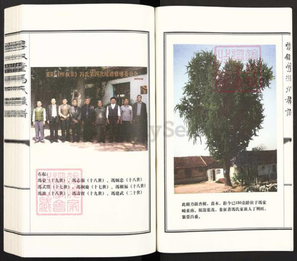 山东省烟台市莱阳市古柳街道冯氏惇叙堂族谱-莱阳惇叙堂冯氏族谱.pdf电子版插图3
