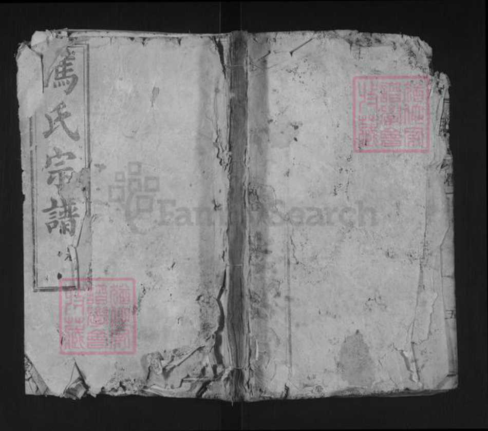 湖北省武汉市新洲区冯氏大树堂族谱-冯氏宗谱.pdf电子版插图