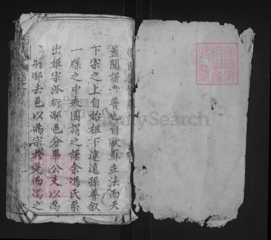 湖北省武汉市新洲区冯氏大树堂族谱-冯氏宗谱.pdf电子版插图1