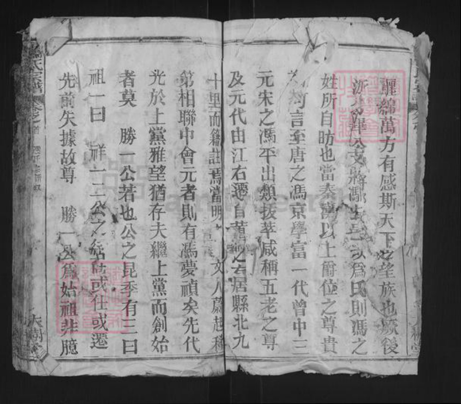 湖北省武汉市新洲区冯氏大树堂族谱-冯氏宗谱.pdf电子版插图4