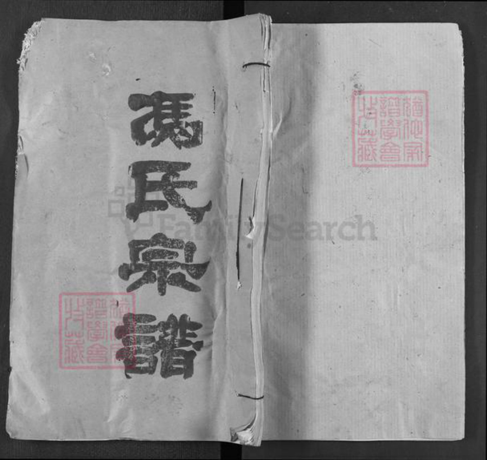 湖北省武汉市新洲区冯氏致远堂族谱-冯氏宗谱.pdf电子版插图