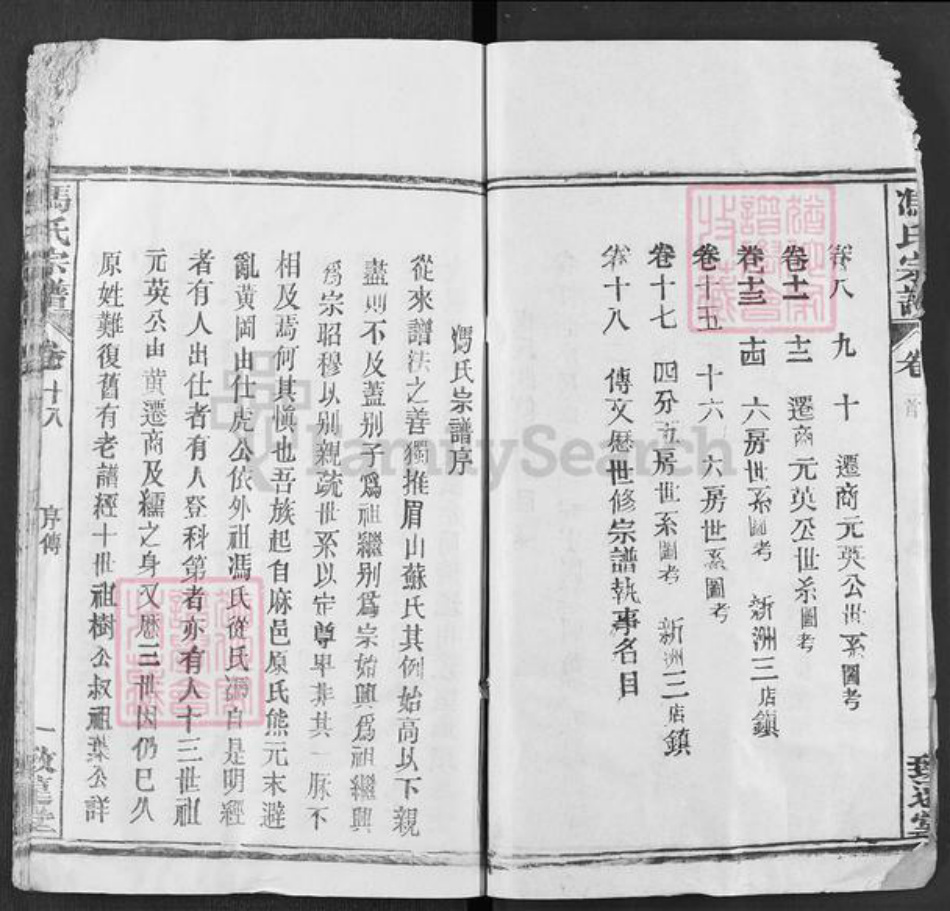 湖北省武汉市新洲区冯氏致远堂族谱-冯氏宗谱.pdf电子版插图2
