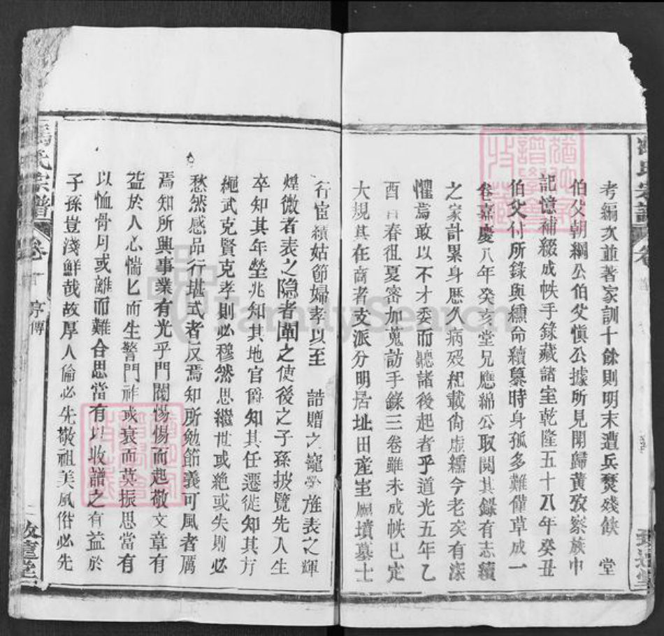 湖北省武汉市新洲区冯氏致远堂族谱-冯氏宗谱.pdf电子版插图3