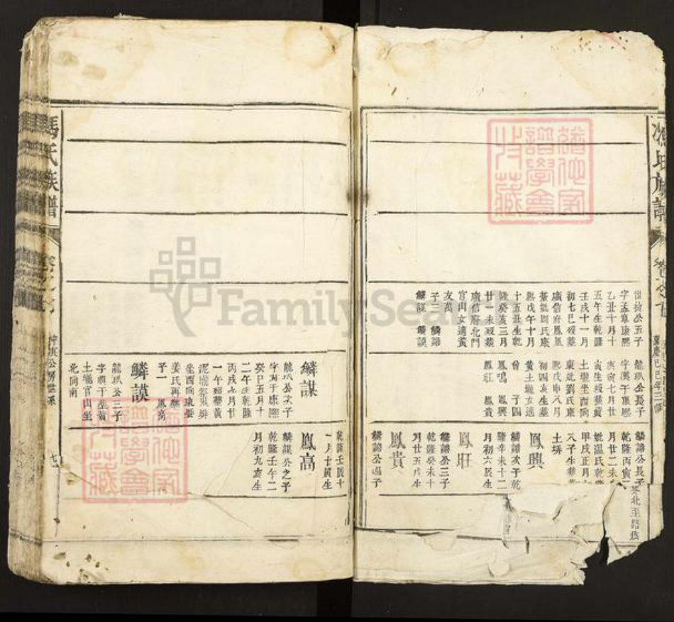 江西省冯氏族谱-冯氏族谱.pdf电子版插图3
