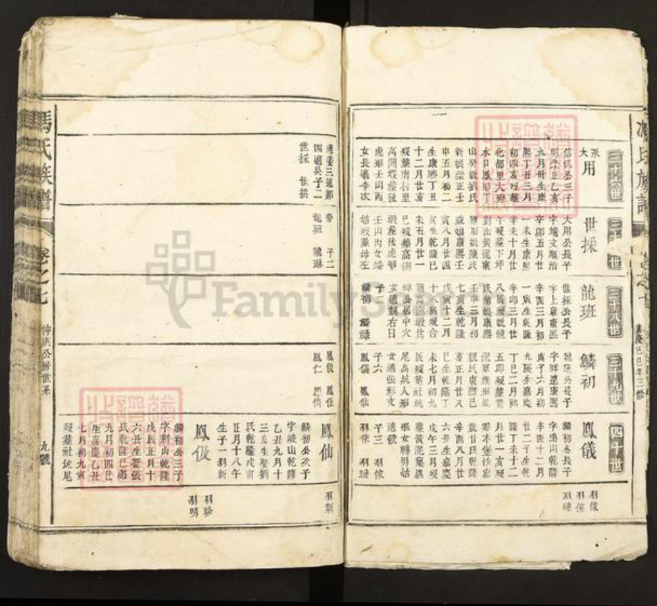 江西省冯氏族谱-冯氏族谱.pdf电子版插图5