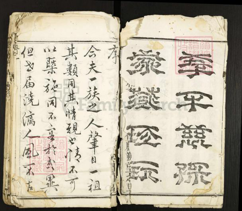 江苏省扬州市广陵区冯氏大树堂族谱-冯氏族谱.pdf电子版插图3