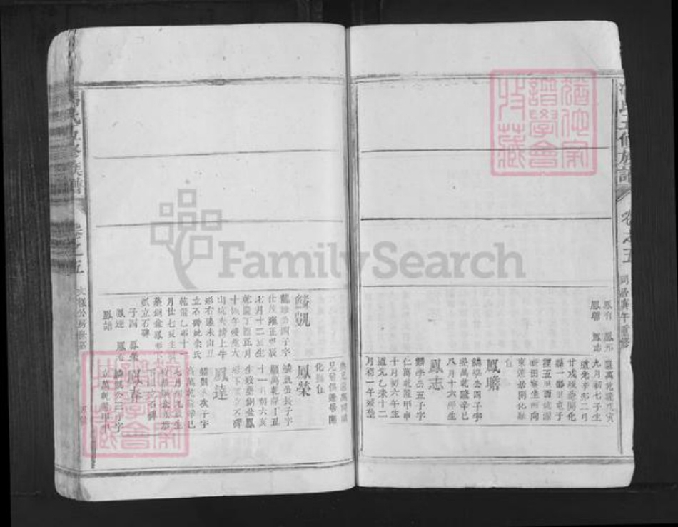 江西省抚州市南丰县洽湾镇冯氏族谱-冯氏五修族谱.pdf电子版插图5