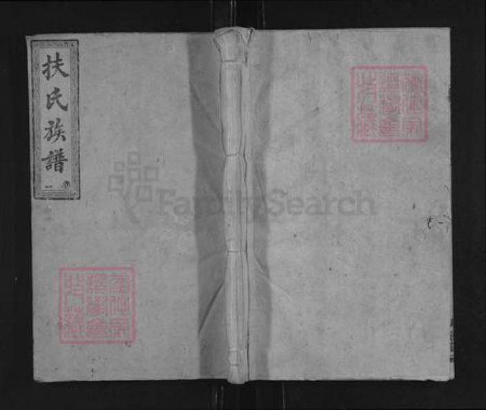 湖南省郴州市桂东县寨前镇扶氏大经堂族谱-桂东扶氏族谱.pdf电子版插图