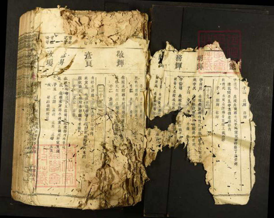 江西省符氏族谱-横田举林池富符氏三族合修族谱.pdf电子版插图2