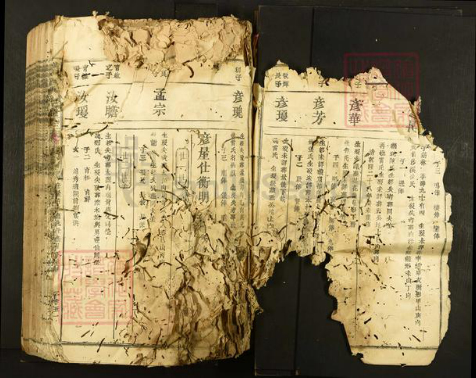 江西省符氏族谱-横田举林池富符氏三族合修族谱.pdf电子版插图3