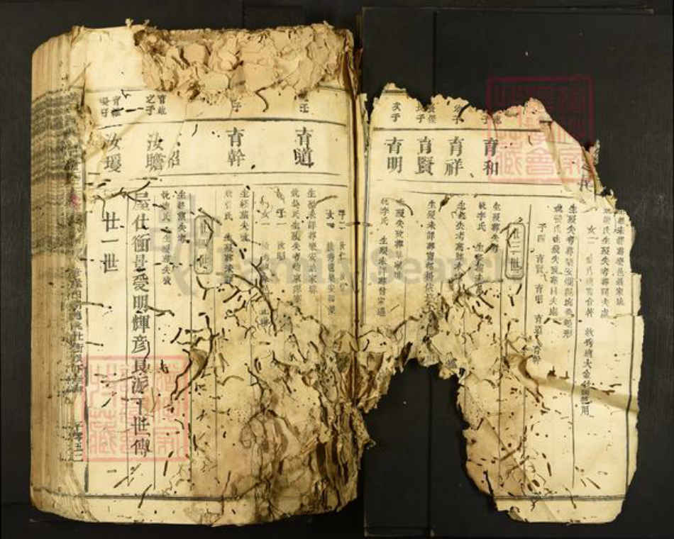 江西省符氏族谱-横田举林池富符氏三族合修族谱.pdf电子版插图4