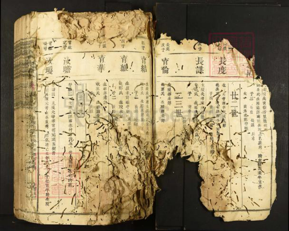 江西省符氏族谱-横田举林池富符氏三族合修族谱.pdf电子版插图5