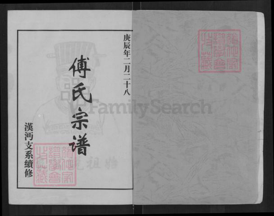 江西省抚州市临川区傅氏族谱-傅氏宗谱.pdf电子版插图1