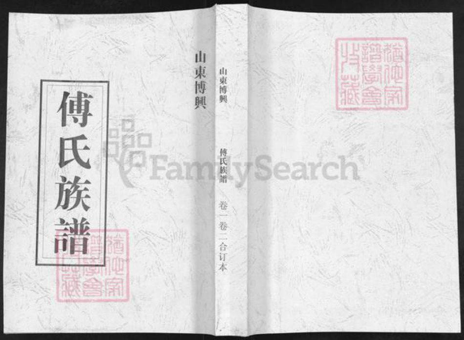 山东省滨州市博兴县傅氏族谱-山东傅兴傅氏族谱.pdf电子版插图