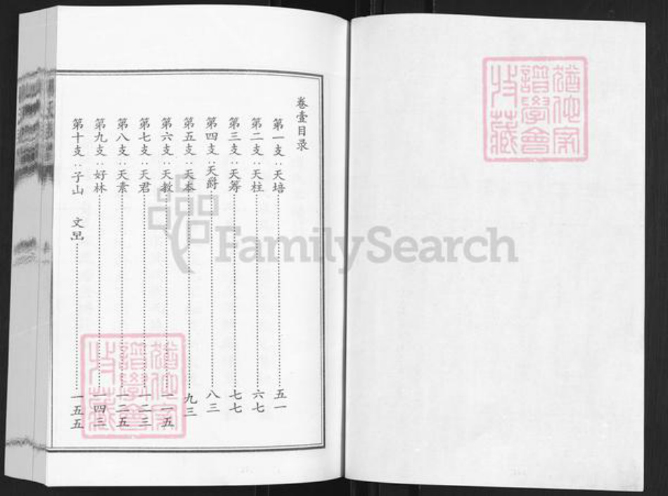 山东省滨州市博兴县傅氏族谱-山东傅兴傅氏族谱.pdf电子版插图1