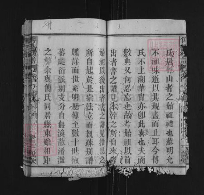 湖北省黄冈市麻城市龟山镇傅氏三说堂族谱-傅氏族谱.pdf电子版插图4
