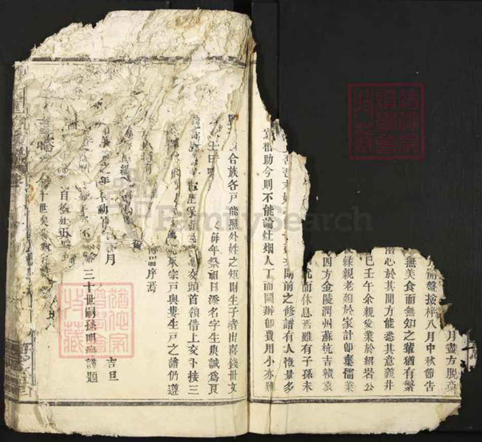 江西省宜春市樟树市中洲乡傅氏思古堂族谱-傅氏重修族谱.pdf电子版插图5