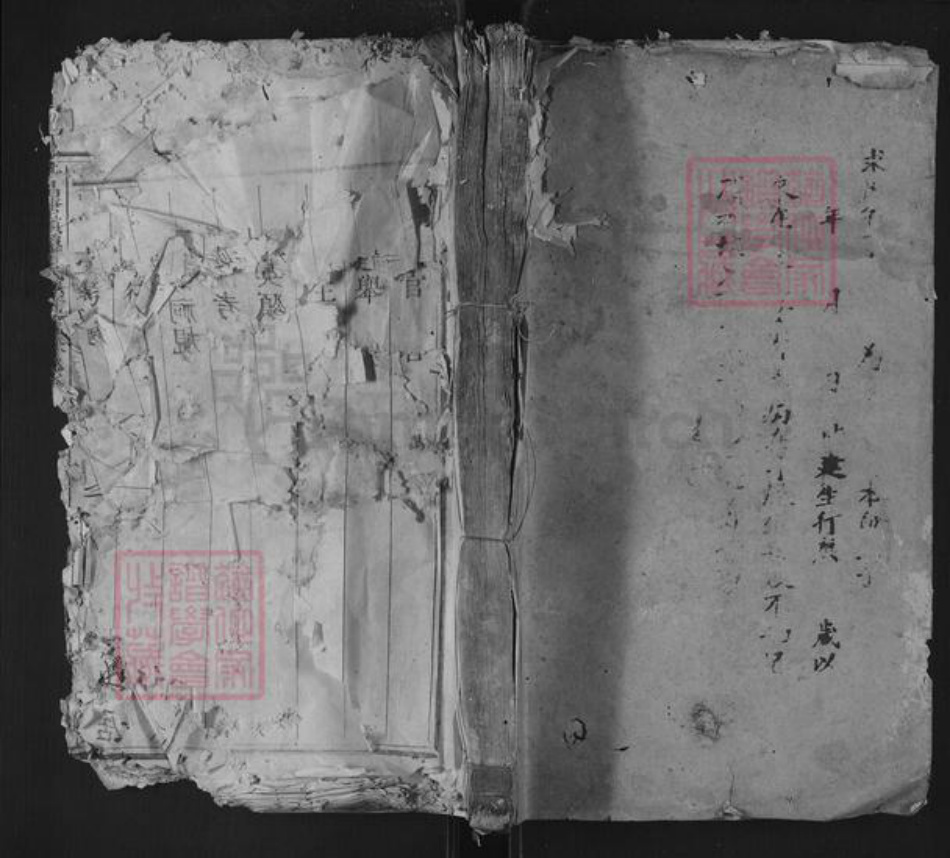 浙江省丽水市遂昌县金竹傅氏族谱-平昌城领头傅氏族谱.pdf电子版插图