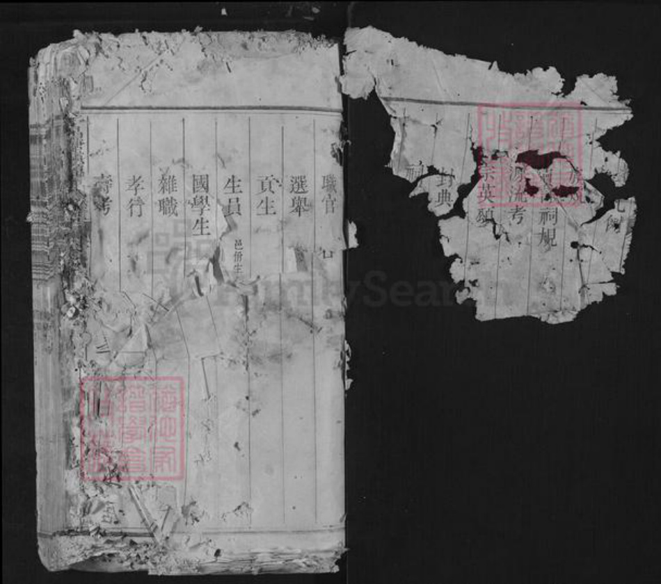 浙江省丽水市遂昌县金竹傅氏族谱-平昌城领头傅氏族谱.pdf电子版插图1