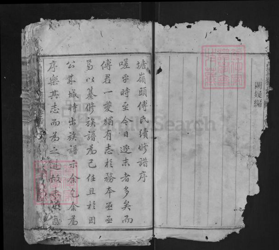 浙江省丽水市遂昌县金竹傅氏族谱-平昌城领头傅氏族谱.pdf电子版插图4