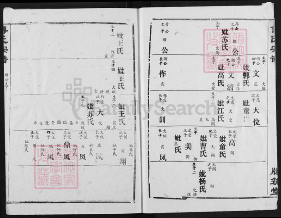 湖北省荆州市江陵县傅氏版筑堂族谱-傅氏宗谱.pdf电子版插图3