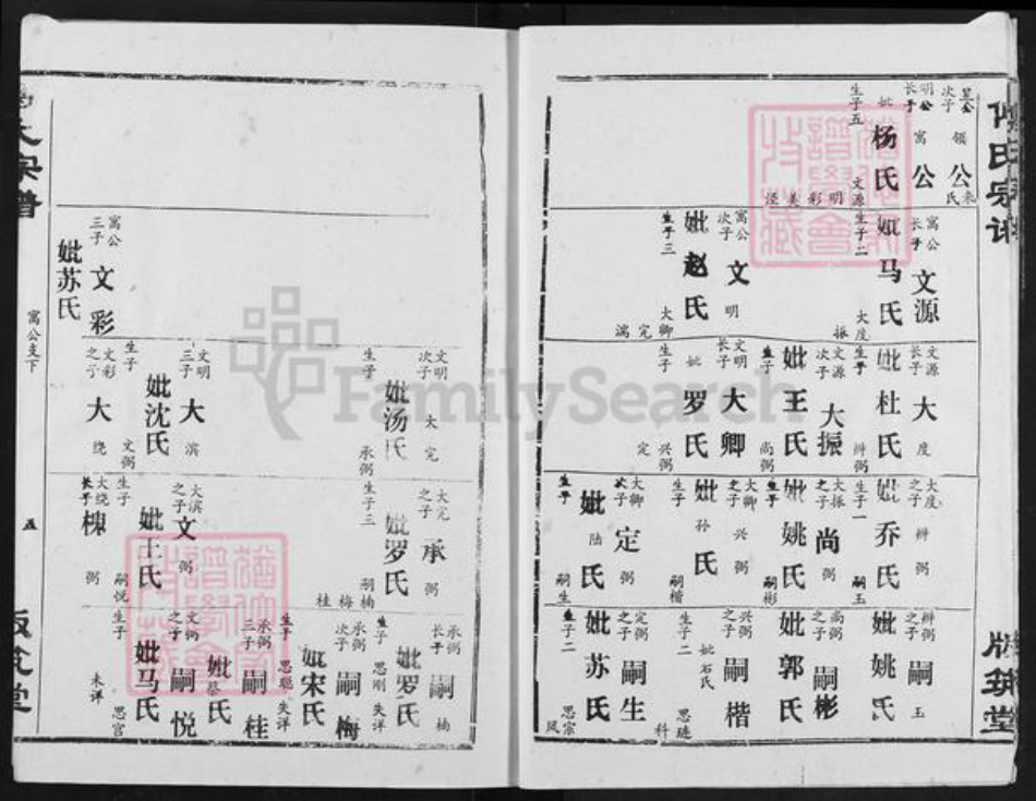 湖北省荆州市江陵县傅氏版筑堂族谱-傅氏宗谱.pdf电子版插图5