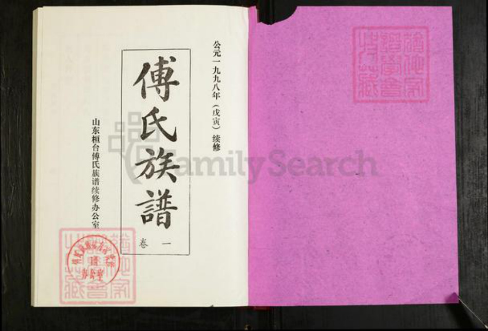 山东省淄博市桓台县傅氏族谱-傅氏族谱.pdf电子版插图1