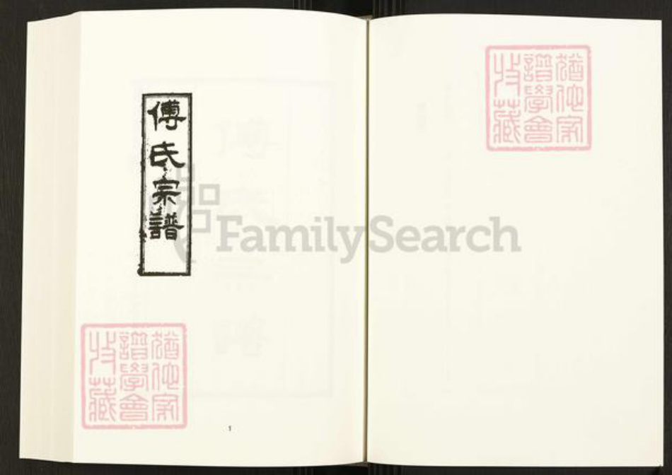 四川省四川省成都市金牛区天回镇街道傅氏族谱-中国珍稀家谱丛刊.四川家谱.第4~6册.傅氏宗谱.pdf电子版插图3