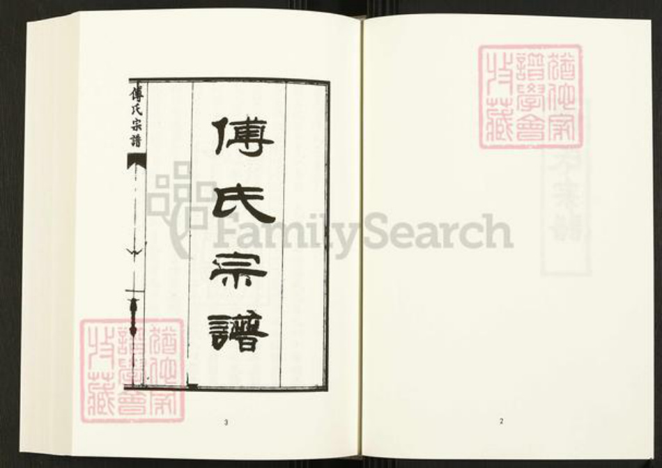 四川省四川省成都市金牛区天回镇街道傅氏族谱-中国珍稀家谱丛刊.四川家谱.第4~6册.傅氏宗谱.pdf电子版插图4