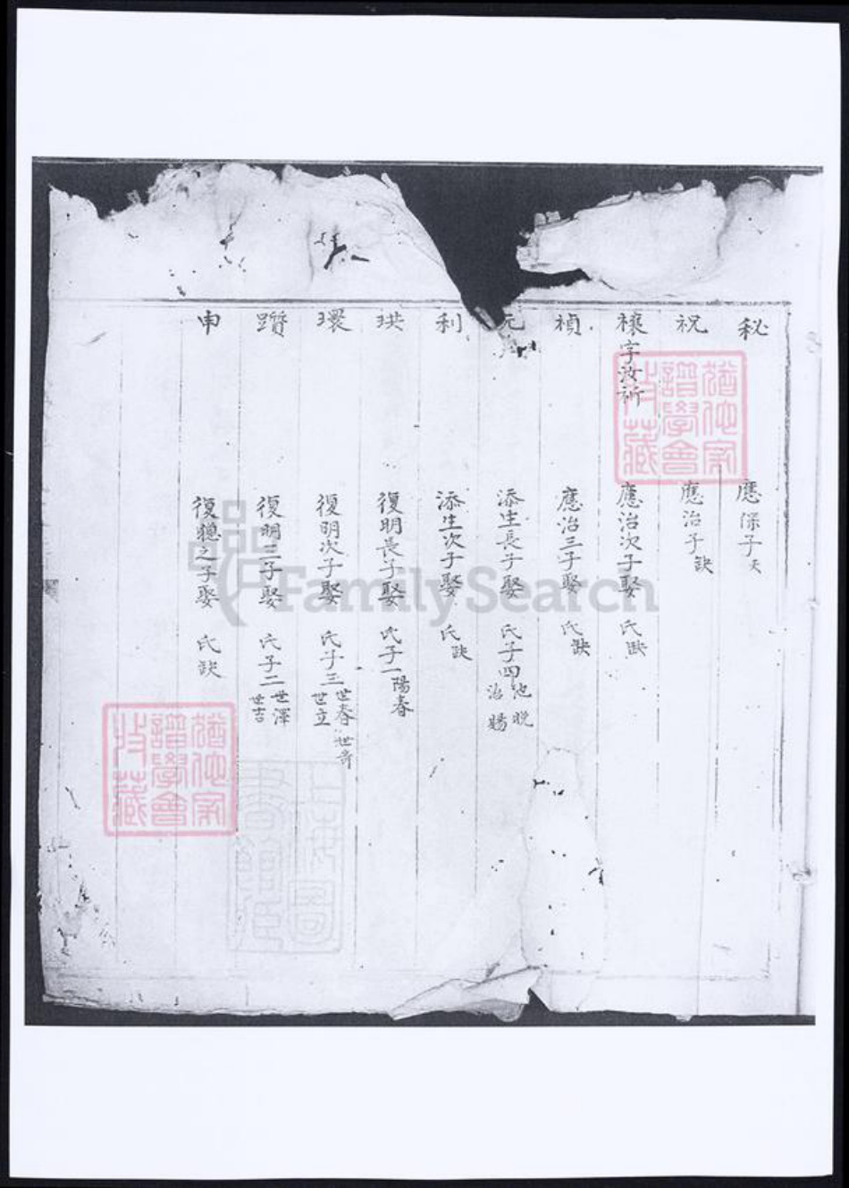 福建省泉州市傅氏族谱-武荣傅氏家谱.pdf电子版插图1