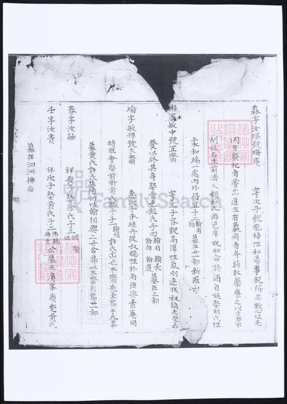 福建省泉州市傅氏族谱-武荣傅氏家谱.pdf电子版插图3