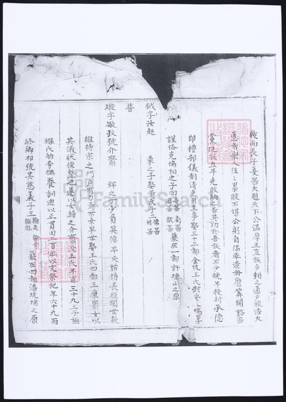 福建省泉州市傅氏族谱-武荣傅氏家谱.pdf电子版插图5